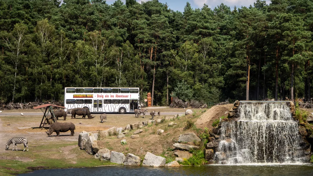 Serengeti-Bus-Safari