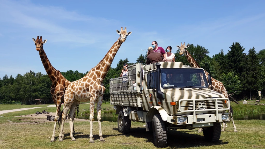 Unimog-Safari