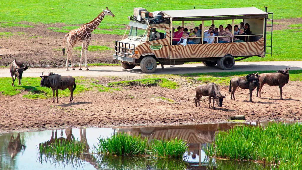 VIP-Jeep-Safari