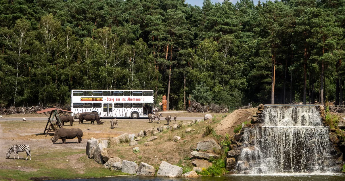 01-Serengeti-Safari (Bustour).jpg