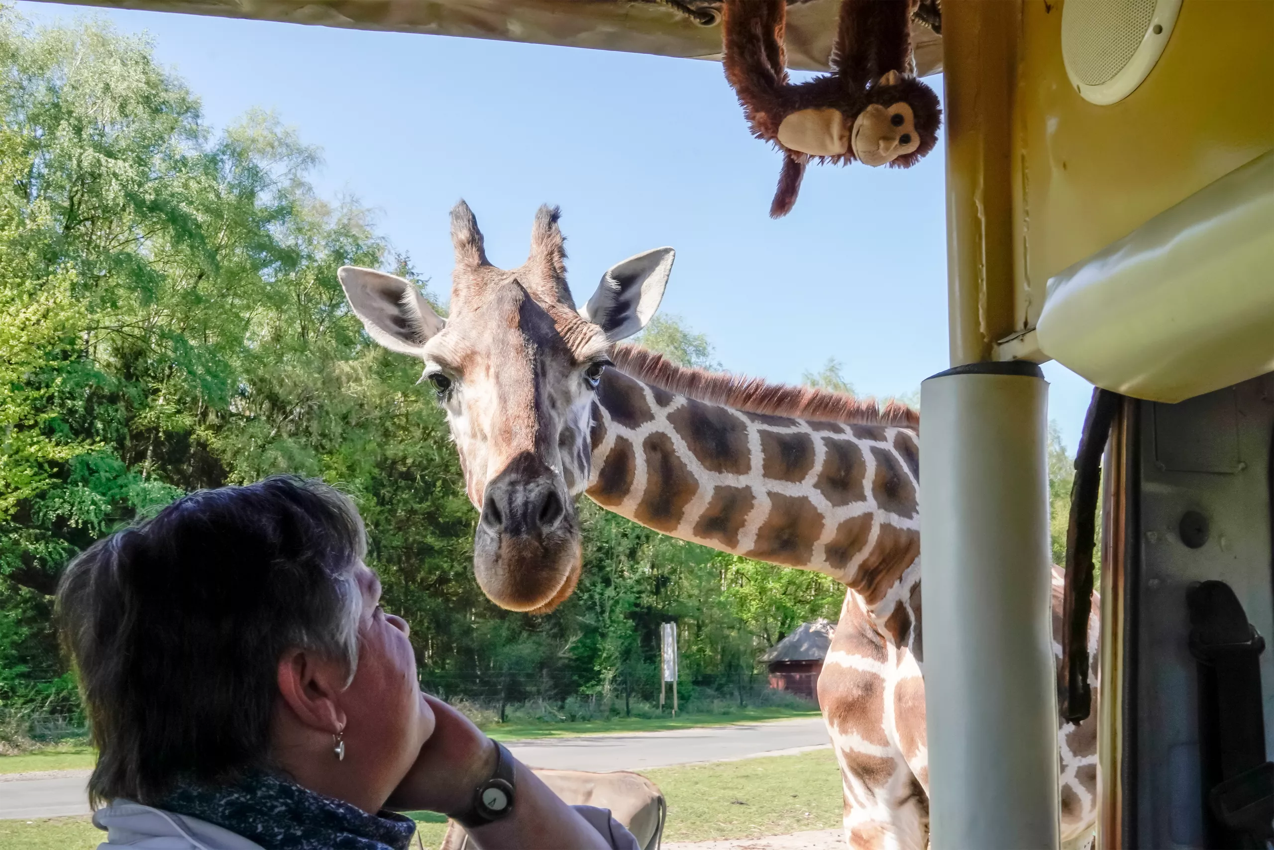 05-Serengeti-Safari (VIP-Jeep-Tour).jpg