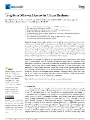 Long-term olfactory memory in African elephants